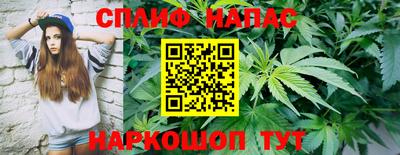 ПСИЛОЦИБИНОВЫЕ ГРИБЫ Сланцы