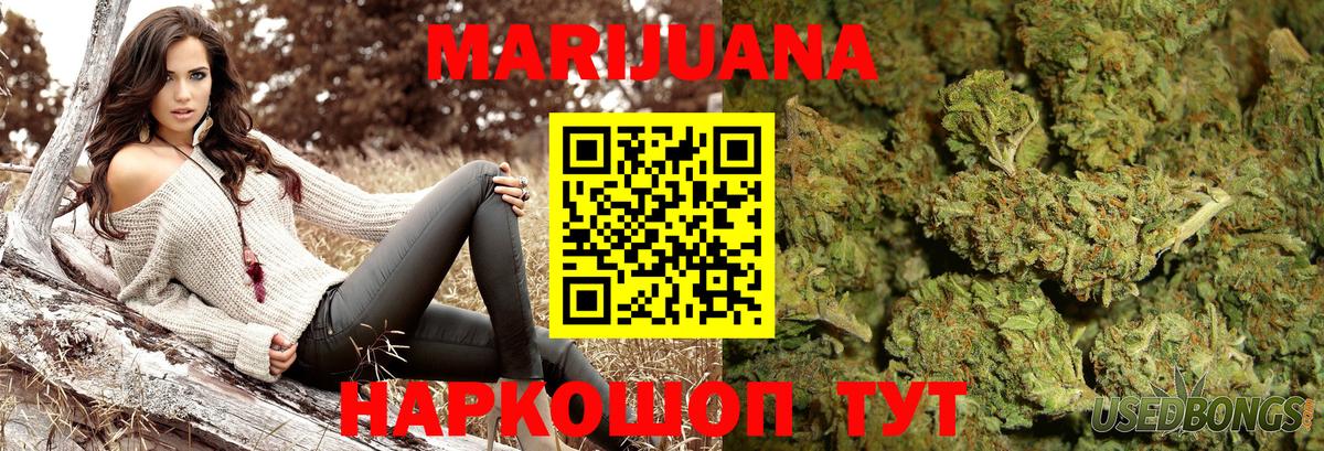 Конопля сатива Самара